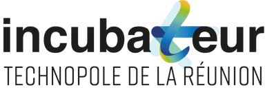 Incubateur Régional de la Réunion Logo Incubateur Régional de la Réunion - Accompagnement entrepreneurial
